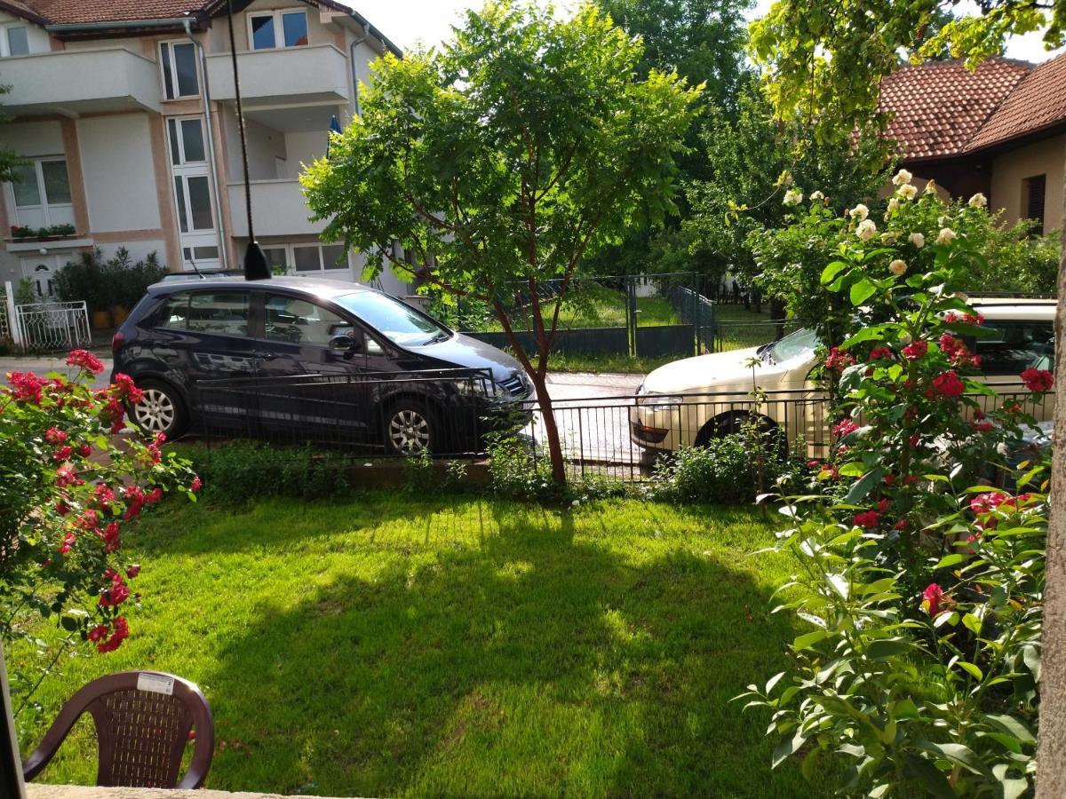 Vila Lenka Sokobanja Exteriér fotografie