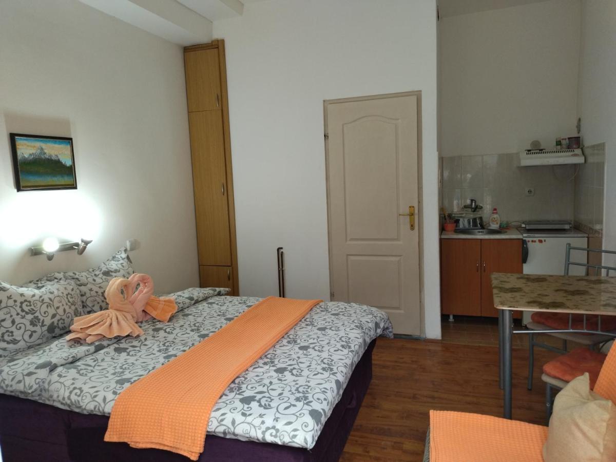 Vila Lenka Sokobanja Exteriér fotografie