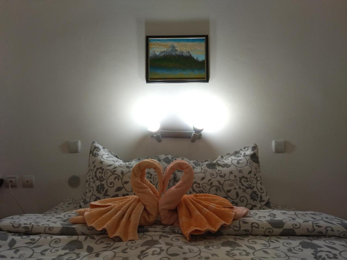 Vila Lenka Sokobanja Exteriér fotografie