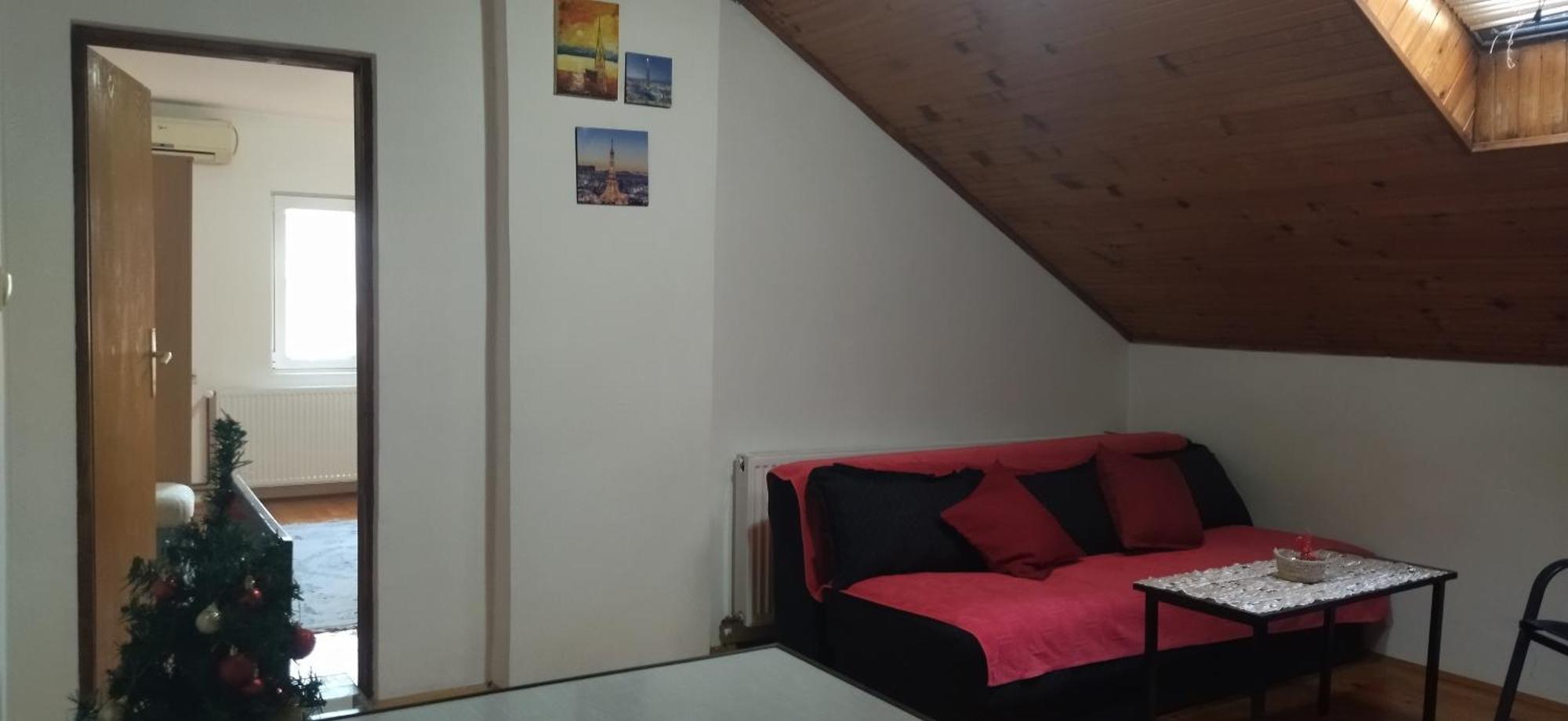 Vila Lenka Sokobanja Pokoj fotografie