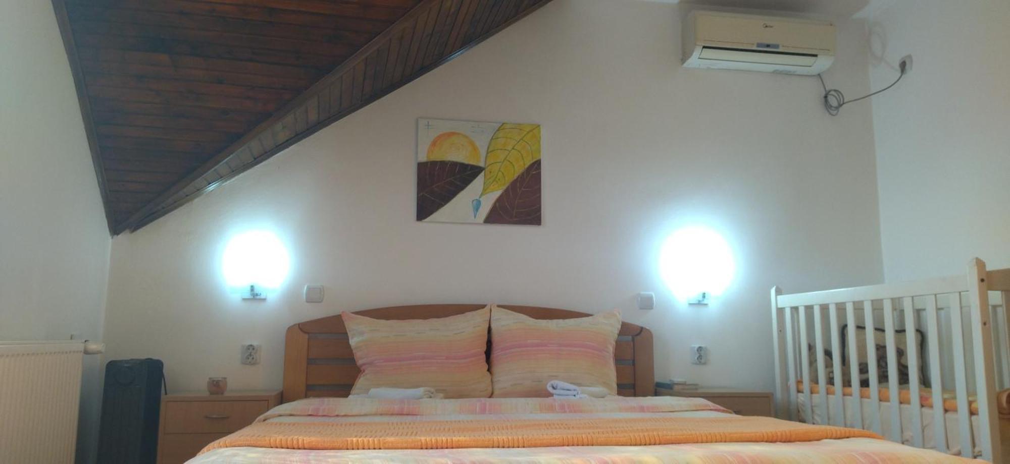 Vila Lenka Sokobanja Pokoj fotografie