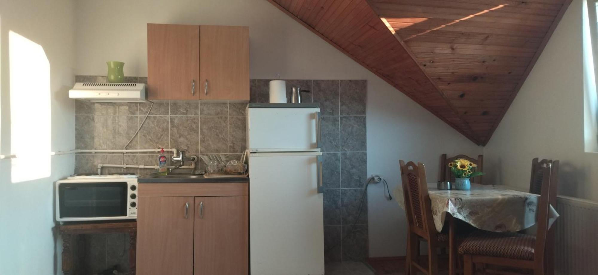 Vila Lenka Sokobanja Pokoj fotografie