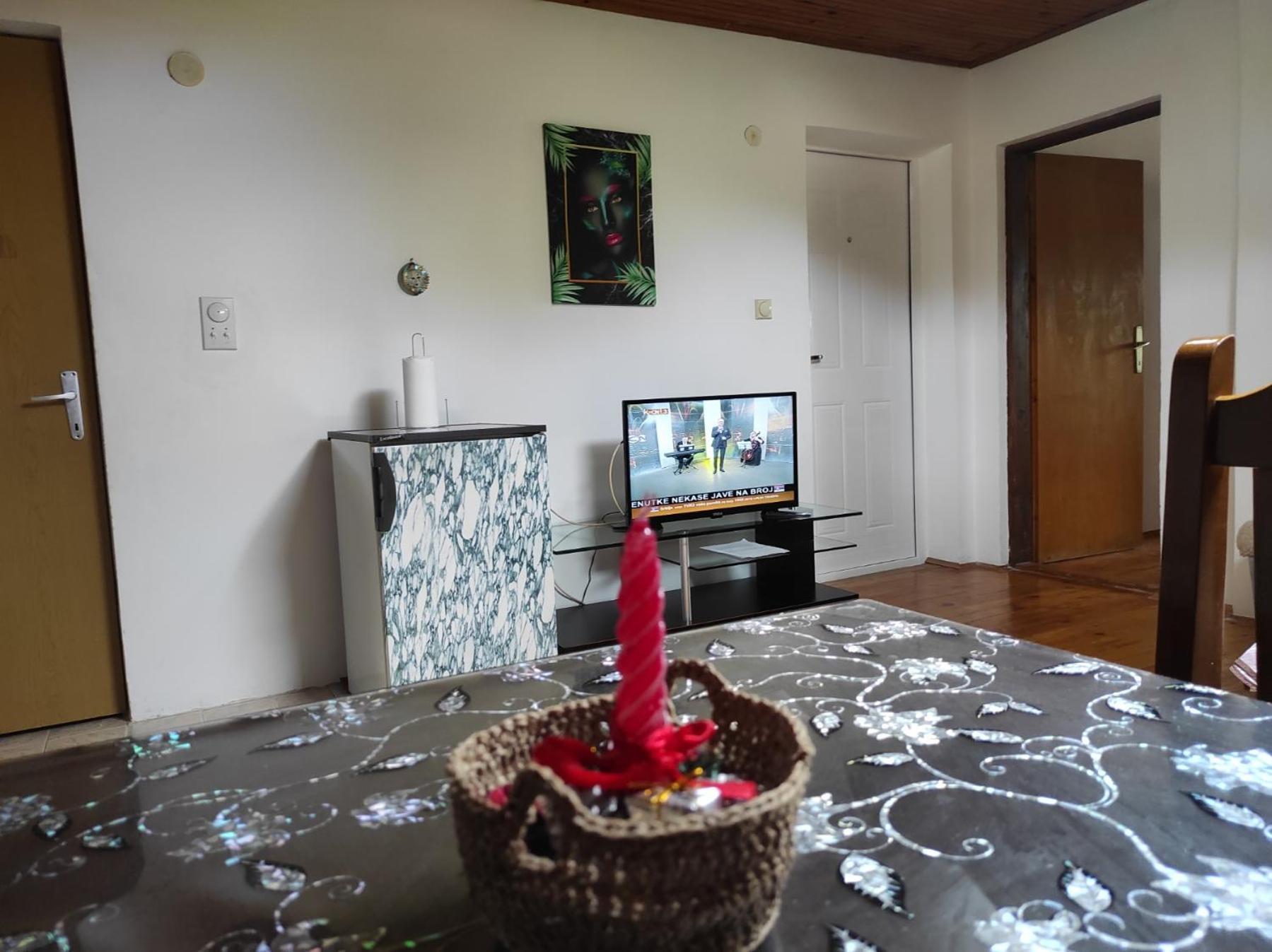 Vila Lenka Sokobanja Pokoj fotografie
