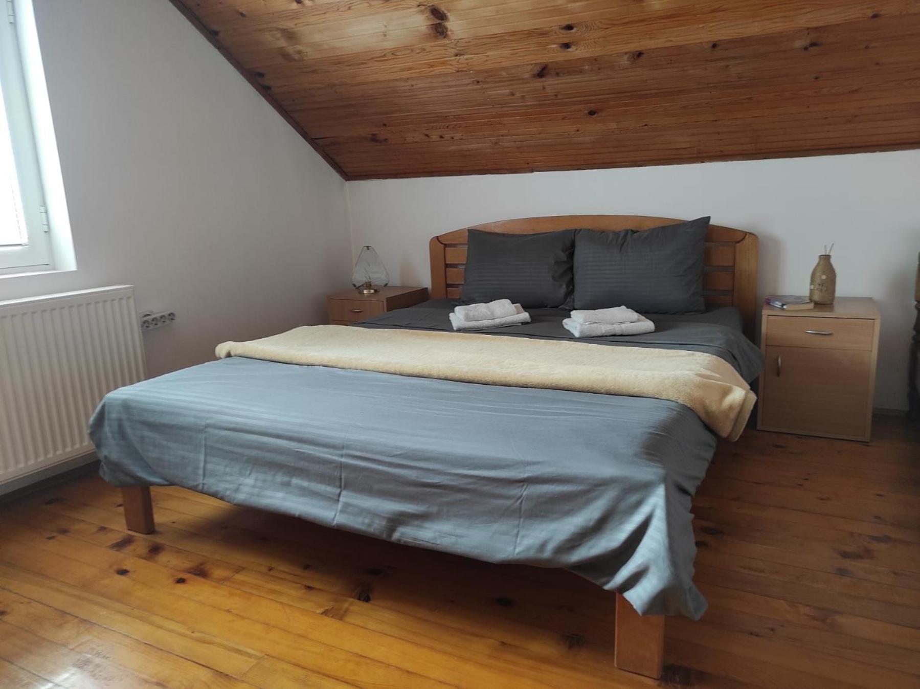 Vila Lenka Sokobanja Pokoj fotografie