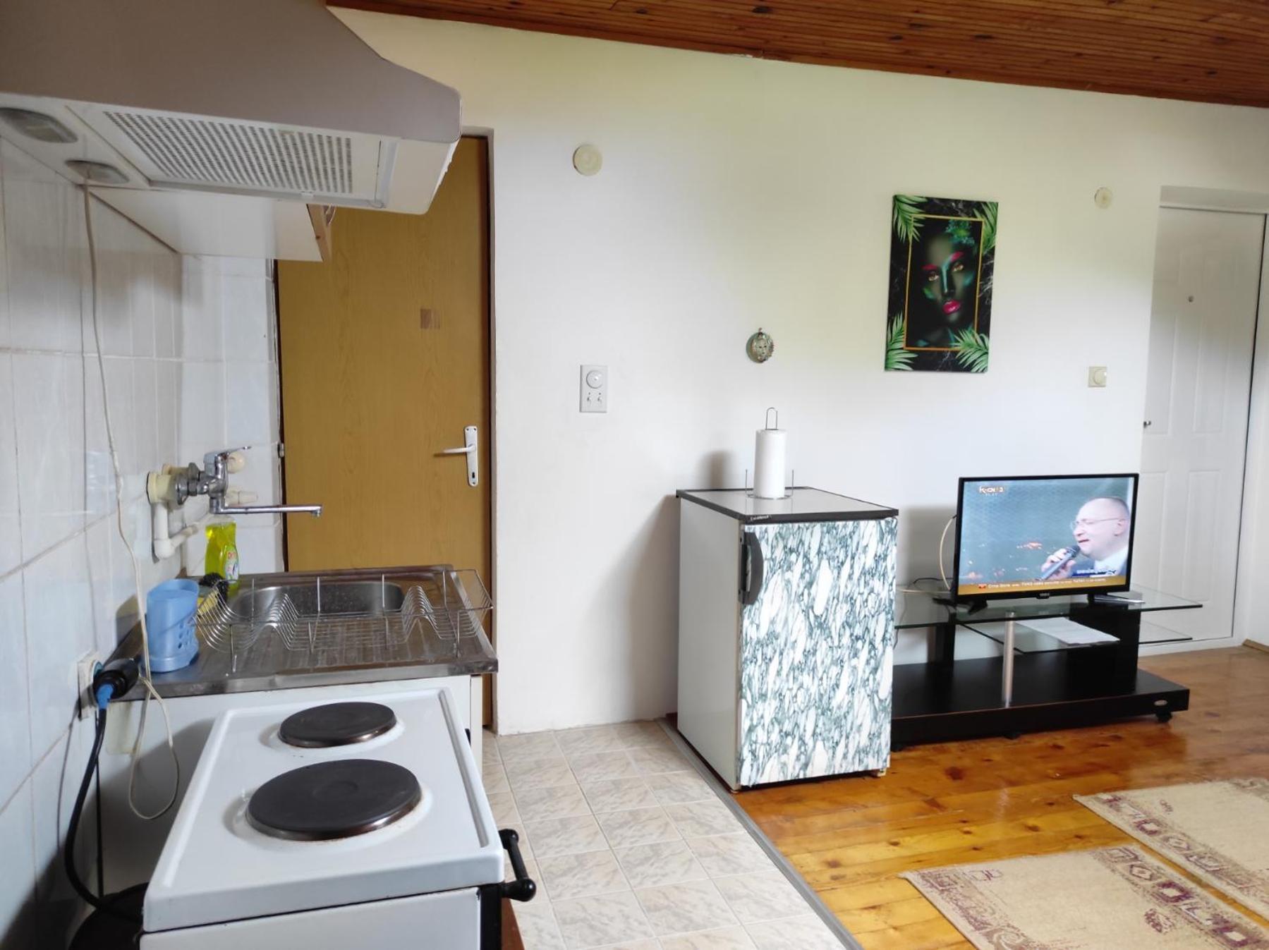 Vila Lenka Sokobanja Pokoj fotografie