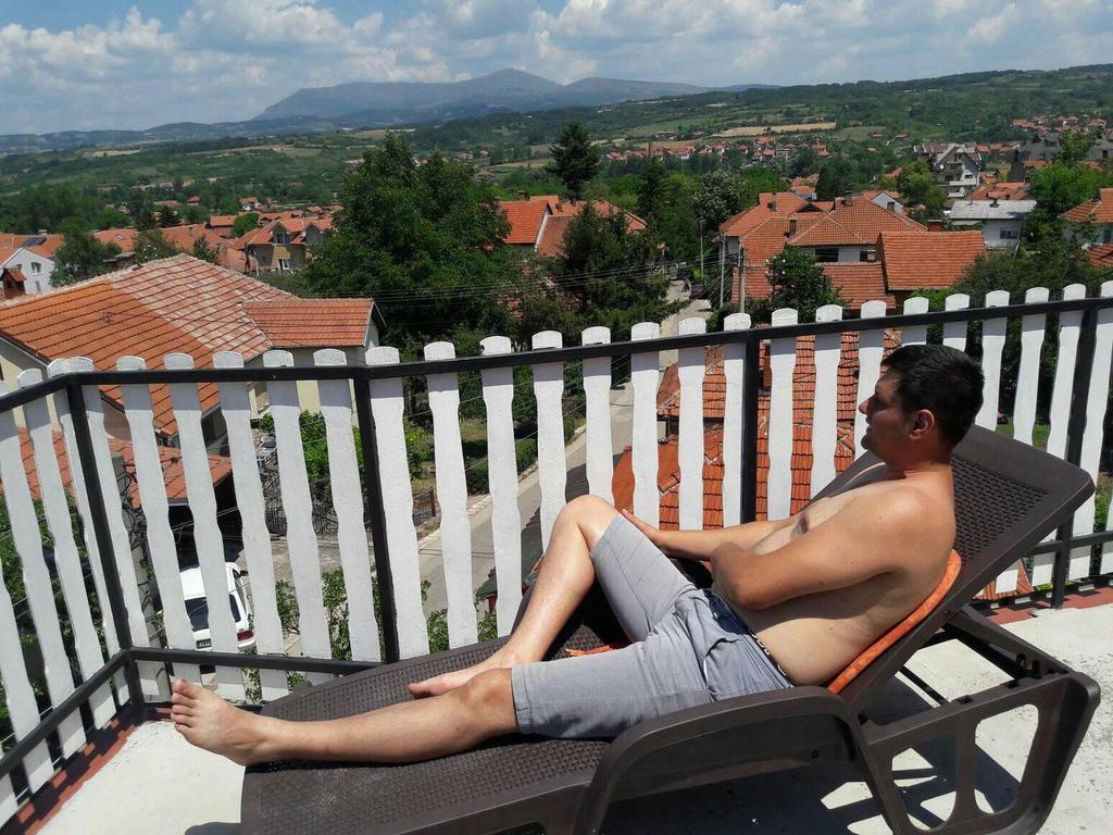 Vila Lenka Sokobanja Exteriér fotografie