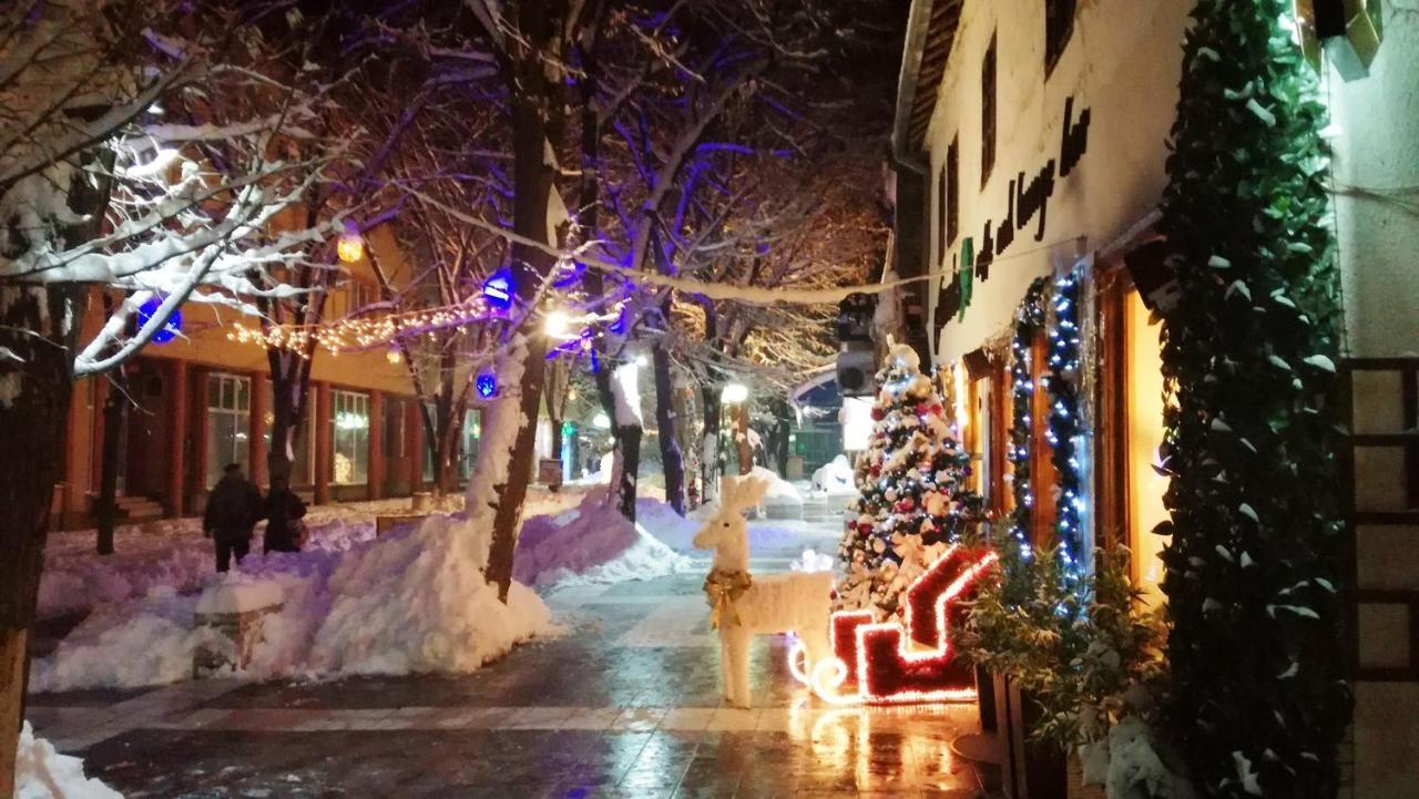 Vila Lenka Sokobanja Exteriér fotografie