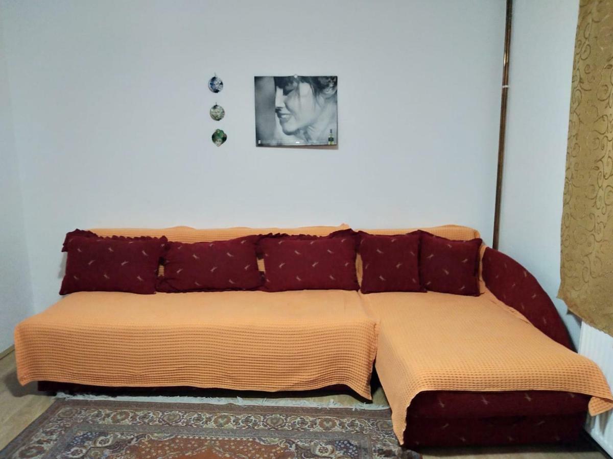 Vila Lenka Sokobanja Exteriér fotografie