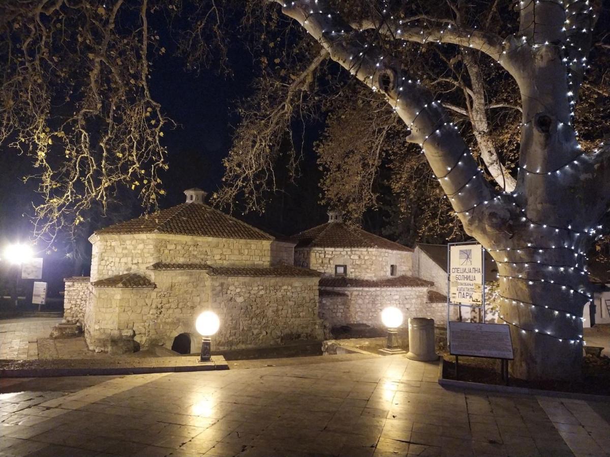 Vila Lenka Sokobanja Exteriér fotografie